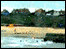 Webcam view of Goleston beach: link