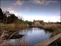 Pensthorpe