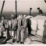 On top of the large pyramid at El Giza, (showing the scaffold) Willy, Gower and George.