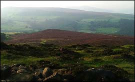 Eyam Moor