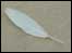 Feather