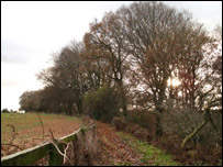 The Cleveland Way above Slapeworth