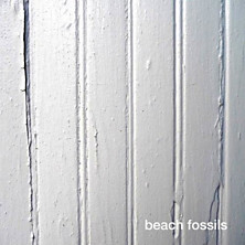Review of Beach Fossils