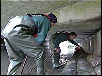 Searching for Otter spraint