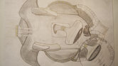RUNNER UP : Visual...