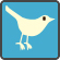 Twitter icon