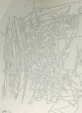 Italian Lines