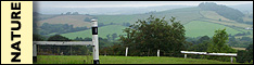Dorset nature