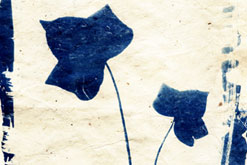 Image: Ivy (detail) by Joy Gregory