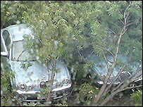 A tree falls onto cars in Derby's Cardinal Square