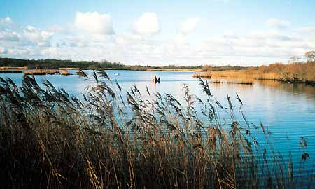 Rockland Broad
