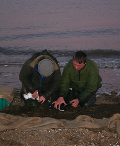 Cannon netting on the beach