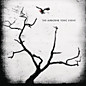 Review of The Airborne Toxic Event