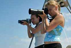Hanna Nuutila, Sightings Officer for the Sea Watch Foundation.