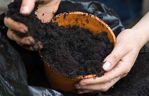 Peat: the ethical debate (Image: peat)
