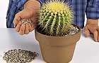 Repotting