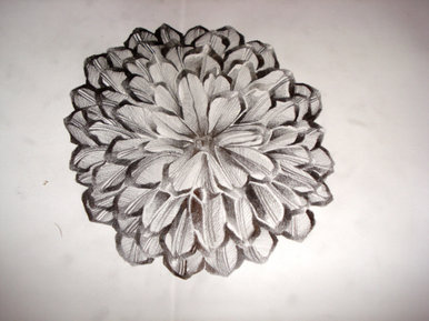 Graphite pinecone