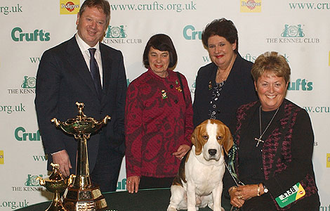 Hound Group Winner.