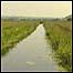 Somerset Levels