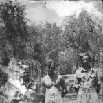 A few of my mates camped in a olive grove at Biancaville Sicily. I am at back on the right. A few of my mates camped in a olive grove at Biancaville Sicily. I am at back on the right.