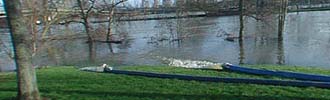 Flood defences