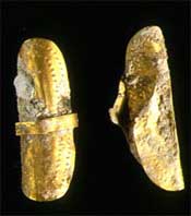 Golden artefacts - either earrings or hair tresses