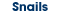 Snails
