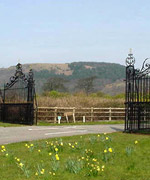 Giatiau'r Parc