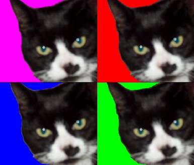 My Cat