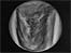 Picture: Planet Venus: link