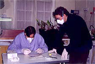 Photograph of DNA testing in a lab