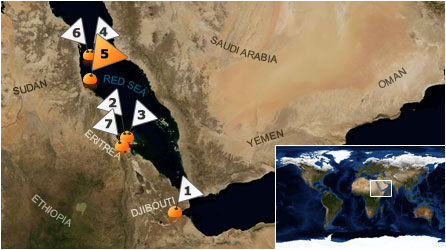 Dive map - Red Sea - Site 5