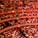 Royal Albert Hall