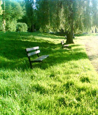 benches