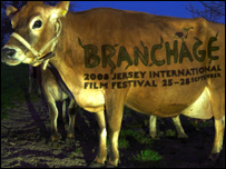 Branchage logo projected on to a cow