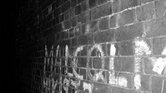 Bricks in the...
