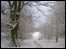 A snowy Golden Acre Park