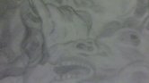 Raphael Sketch...