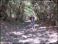The Hollow Way in Redditch