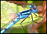 360 view of Whitlingham Country Park: link