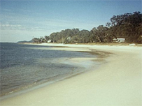 New South Wales