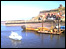 Whitby webcam - sea view