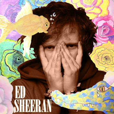 Portrait'09- Ed Sheeran
