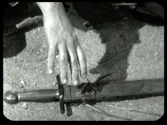 55