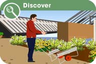 Discover