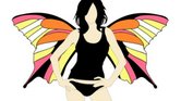 butterfly butterfly