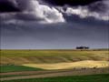 West Lavington - Pascale Rodot