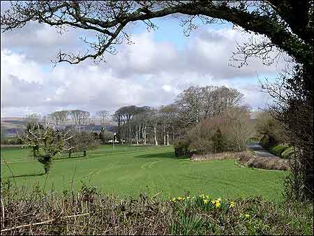 Yealmpton in the Spring