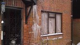 ice tree