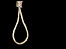 Hangman's noose